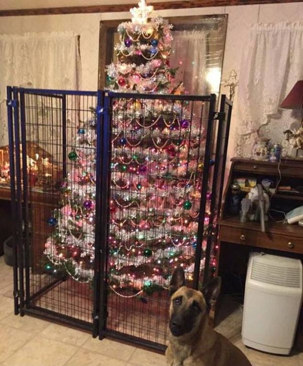 Снимка: Facebook