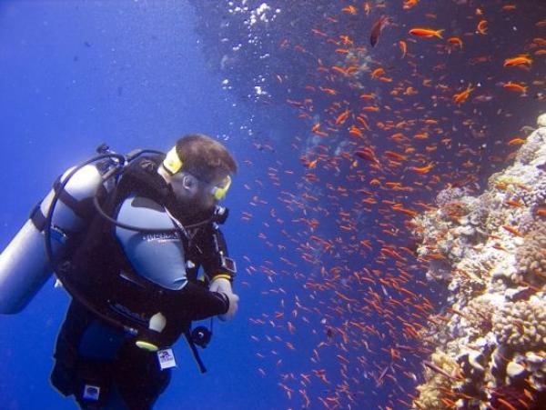 Снимка: nomadicmatt.com10. Червено море в Египет Червено море със своята ясна, тюркоазено - синя вода има няколко отлични места за гмуркане. Рифовете са абсолютно зашеметяващи и пленяващи с многообразието на живот. От Шарм Ел Шейх до Шааб Абу Нухас и Рас Мохамед, Червено море предоставя страхотни условия за подводно плуване.