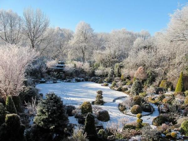 Снимка: Four Seasons Garden