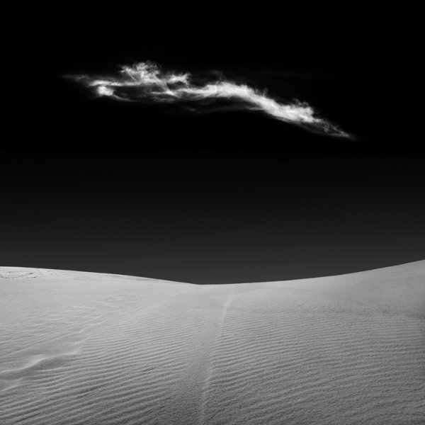 Снимка: colethompsonphotography.com