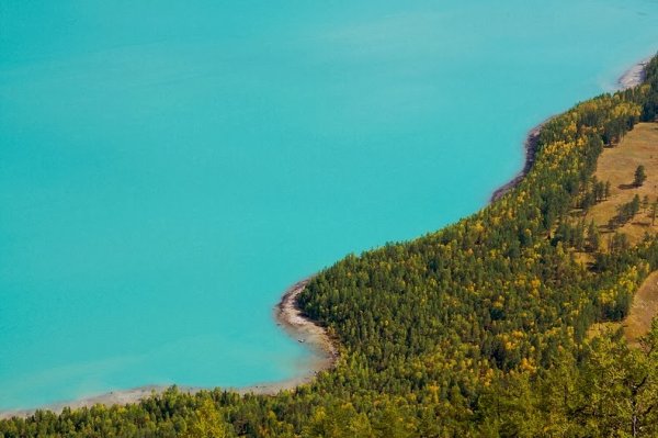 Снимка: Flickr