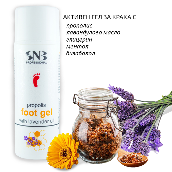 Снимка: SNB Professional