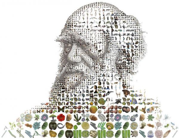 Снимка: Charis Tsevis