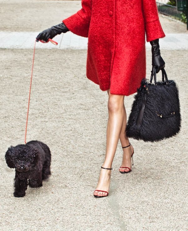 Снимка: Carolina Herrera New Handbag Collection Fall/Winter 2013