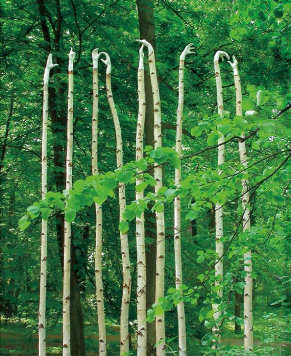 Полша, 2003 годинаСнимка: Olga Ziemska