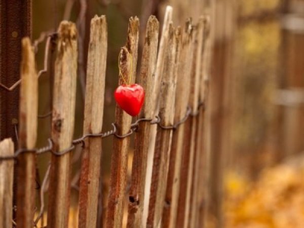 Снимка: photo.elsoar.com