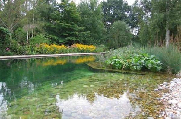 Снимка: NaturalSwimmingPools