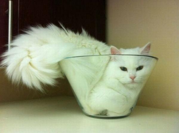 Снимка:imgur.com