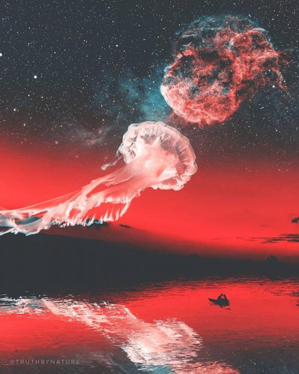  Instagram/truthbynature