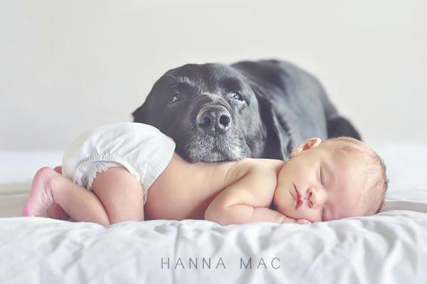 Снимка: Hanna Mac