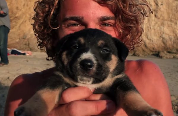 Снимка: Jay Alvarrez/Аlexis Rene