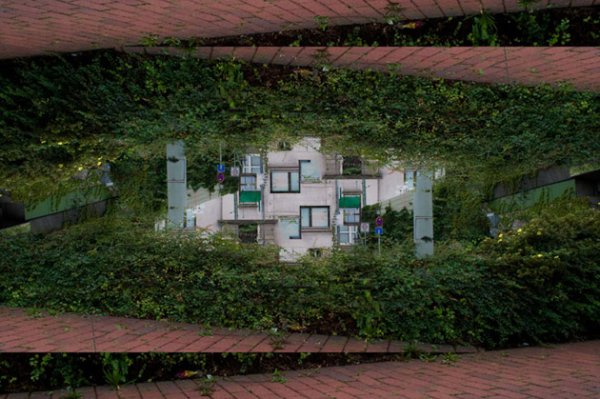 Снимка: Kazuhiko Kawahara