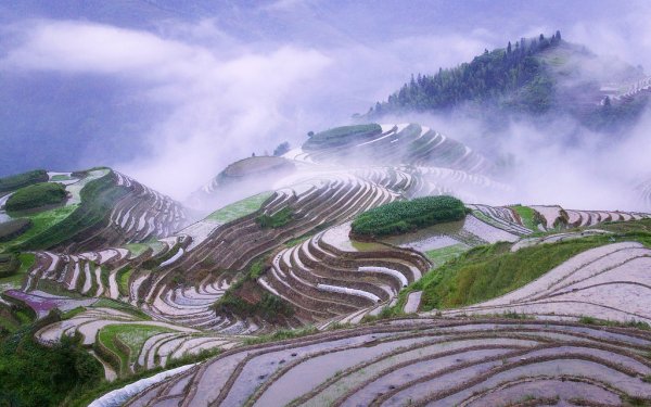 Снимка: Flickr Guangxi Province, China