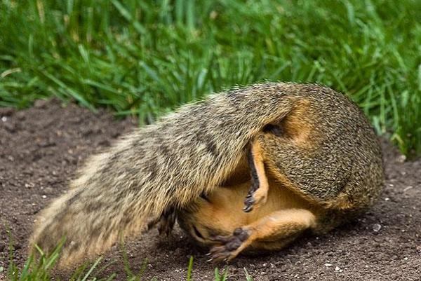 Снимка: BoredPanda