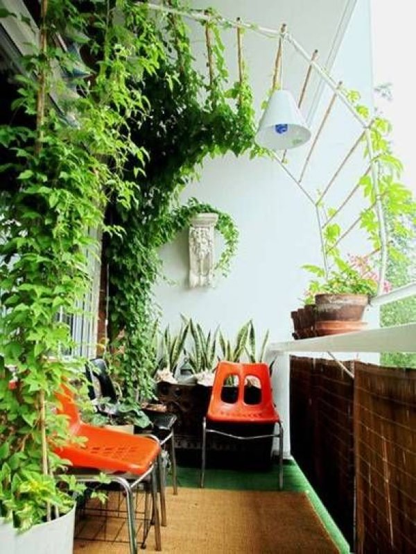 Снимка: pinterest