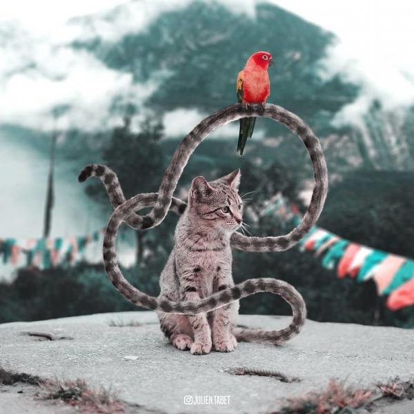 Снимка: Instagram/Julien Tabet