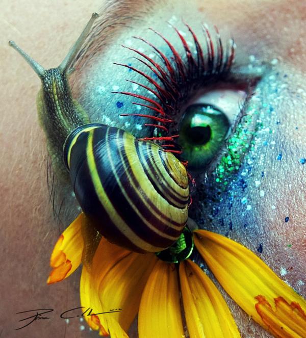 Снимка: pixiecold.deviantart.com