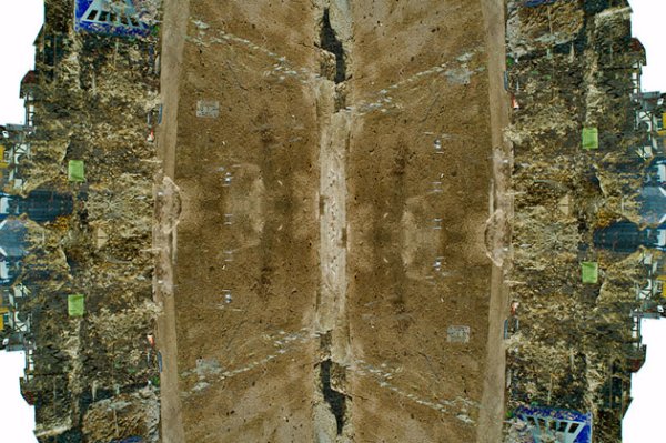 Снимка: Kazuhiko Kawahara