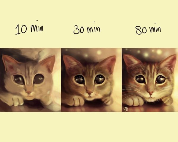 Снимка: Instagram/Floortje