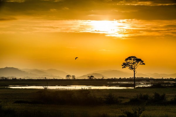 Снимка: rehahnphotographer.com