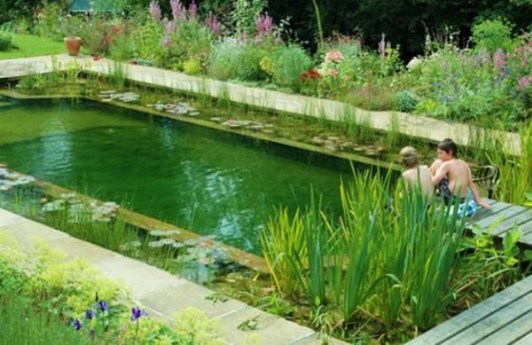 Снимка: NaturalSwimmingPools
