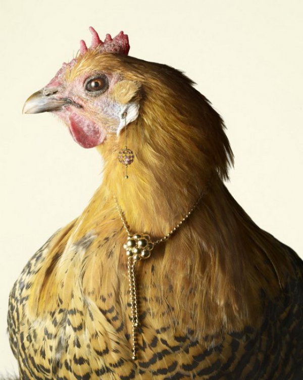 Снимка: Peter Lippmann