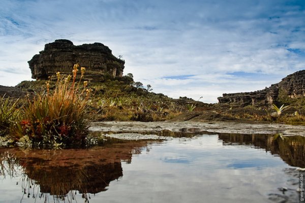 Снимка:southamericatourist.com;Планината Рорайма в Бразилия, Гвиана и ВенецуелаТази величествената забележителност граничи на юг с Бразилия, на запад с Венецуела, а на изток с Гвиана. Тя е част от Гвианската платовидна планинска земя, разположена близо до екватора. Ако изкачите върха на планината, ще се намирате едновременно в три различни страни по едно и също време. Платовидните планини се считат за едни от най-старите геоложки формации на Земята. Върхът на планината най-лесно се достига от венецуелската й страна, където можете да си наемете водач от индианското племе „Пемон“.