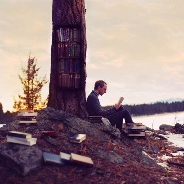 Снимка: Joel Robison