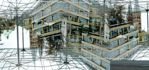 Снимка: Kazuhiko Kawahara