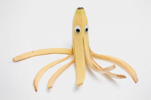 Снимка: Domenic Bahmann