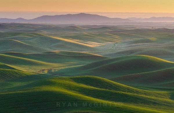 Снимка: Ryan McGinty