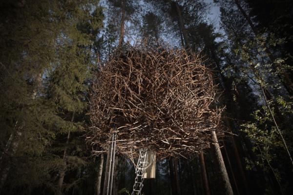 Снимка: Treehotel