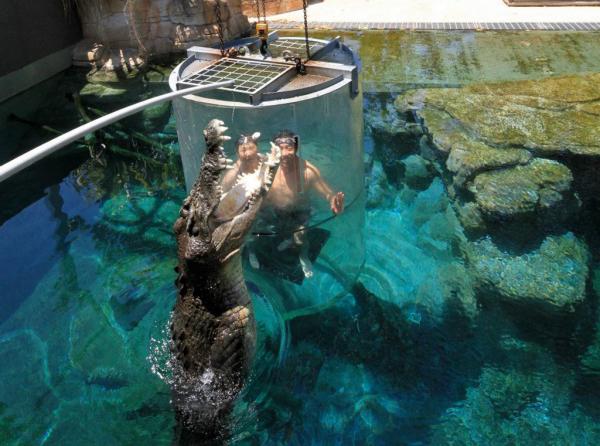 Снимка: crocosauruscove.com