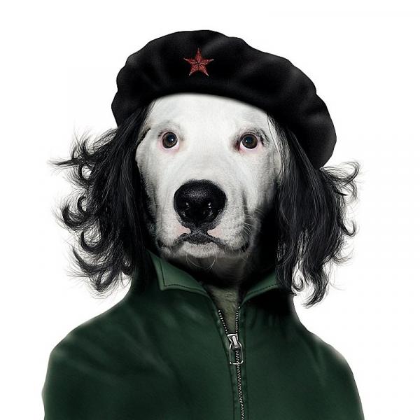 Че ГевараСнимка: oddstuffmagazine.com