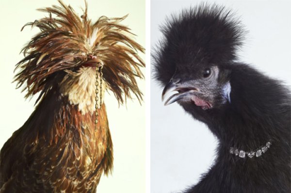 Снимка: Peter Lippmann