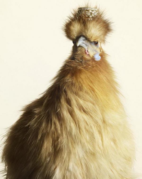 Снимка: Peter Lippmann