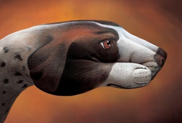 Снимка: Guido Daniele