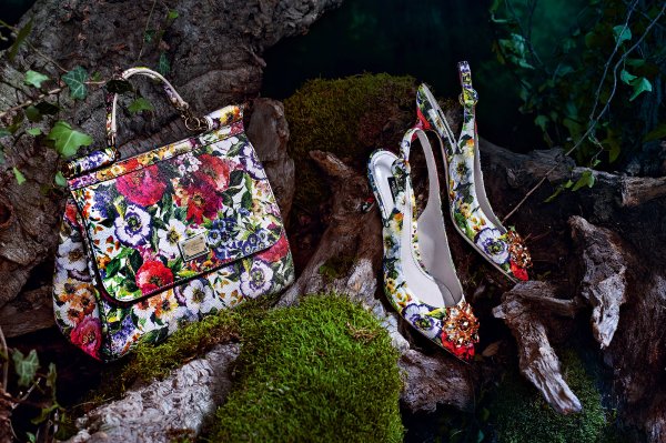 Снимка: Dolce & Gabbana