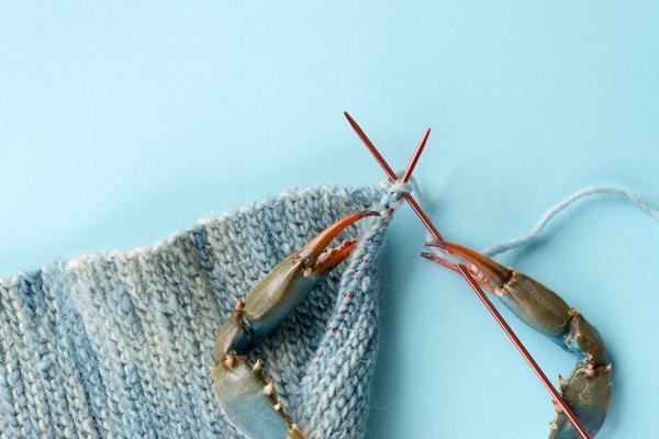 Снимка: designboom.com