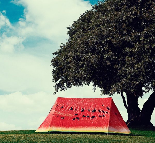 Снимка: fieldcandy.com
