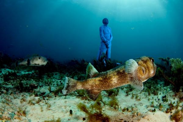 Снимка: Facebook (Cancun Underwater Museum)