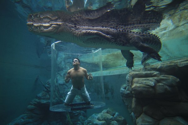 Снимка: crocosauruscove.com