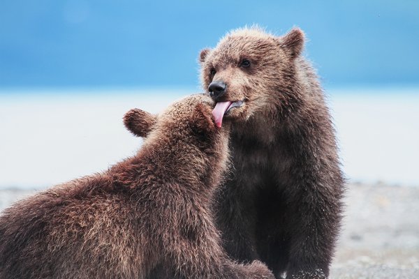 Снимка: nat-geo.ru
