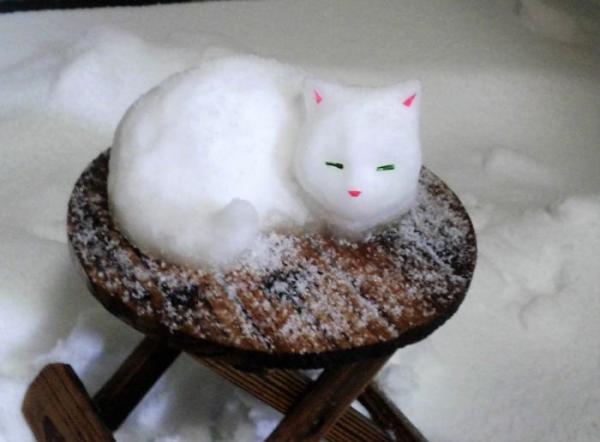 Снимка: BoredPanda
