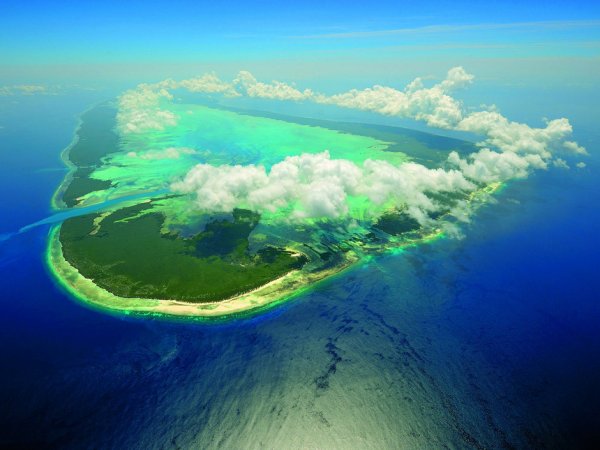 Атолът Алдабра (Aldabra)Снимка: blogspot.comТой е един от крайните острови на Сейшелите, на повече от 1.100 км от Махе - най-големият остров от групата и е по-близо до бреговете на Африка и на Мадагаскар. Той е вторият по големина Атол в света след Киритимати. Поради това, че е трудно достъпен и изолиран, Алдабра е почти недокоснат от хората. Островът е известен със своите гигантски земни костенурки, с кокосовите раци, акулата чук, баракудата, зелените костенурки. Изобщо в Алдабра най-щастливи са орнитолозите, за които архипелагът е истинска жива енциклопедия.