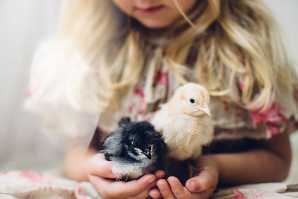 Снимка: Child Photo Competition