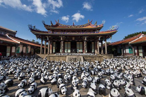 Снимка:  pandasworldtour.tw 