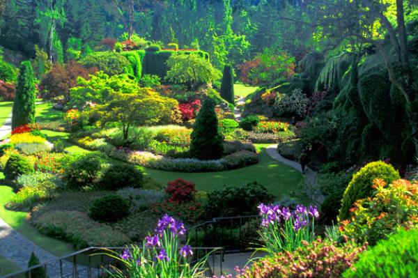 Бътчарт Гардънс – Канада (Butchart Gardens)Снимка: home-and-gardening.info