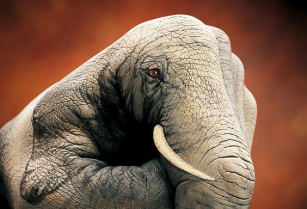 Снимка: Guido Daniele