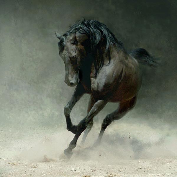 Снимка: Wojtek Kwiatkowski